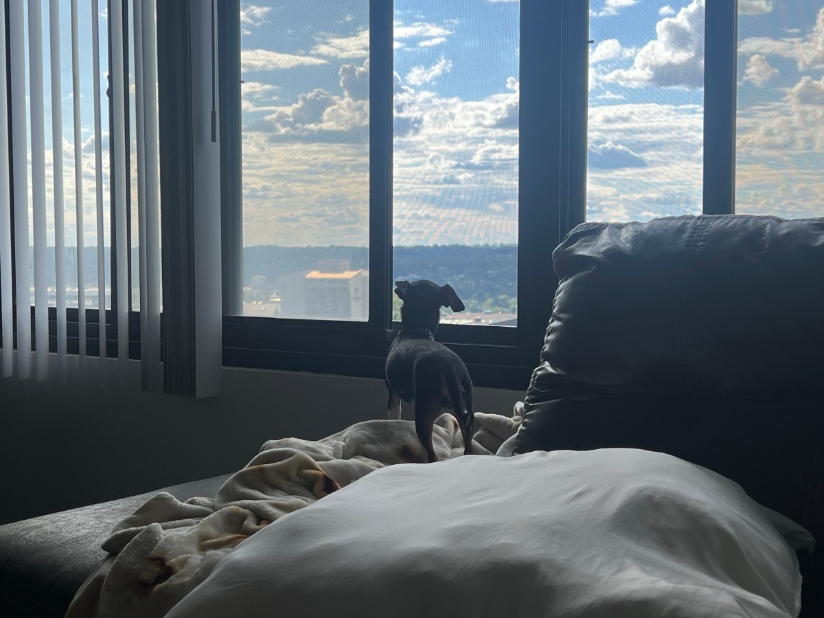 2026: The Year Of&nbsp;Intention